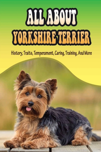 All About Yorkshire Terrier
