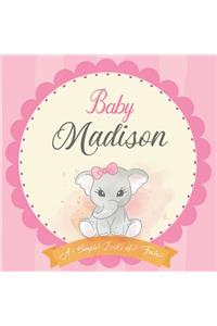 Baby Madison A Simple Book of Firsts