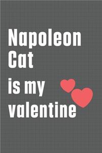 Napoleon Cat is my valentine
