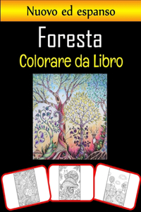 Libro da colorare foresta