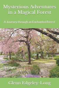 Mysterious Adventures in a Magical Forest