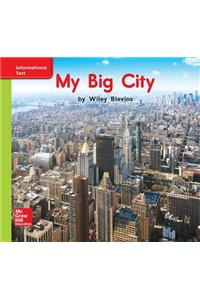 World of Wonders Patterned Book # 5 My Big City