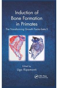Induction of Bone Formation in Primates