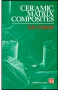 Ceramic Matrix Composites