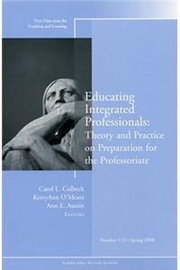 Educating Integrated Professionals: Theory and Practice on Preparation for the Professoriate: New Directions for Teaching and Learning, Number 113