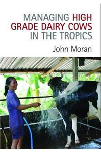 Managing High Grade Dairy Cows in the Tropics