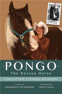Pongo The Rescue Horse