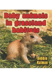 Baby Animals in Grassland Habitats