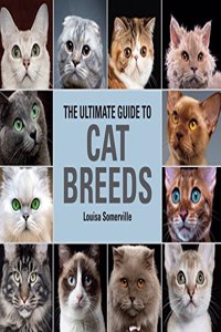 Ultimate Guide To Cat Breeds: A Useful Means of Identifying the Cat Breeds of the World and How to Care for Them