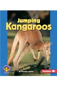 Jumping Kangaroos
