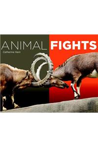 Animal Fights