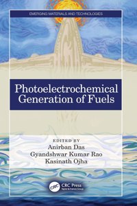 Photoelectrochemical Generation of Fuels