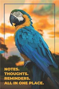 Let Your Light Shine. Notes. Thoughts. Reminders. All in one place.