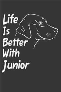 Life Is Better With Junior