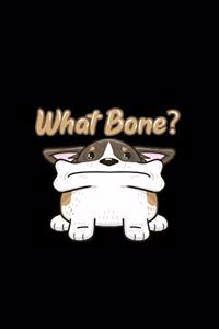 What Bone?