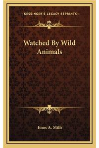 Watched by Wild Animals