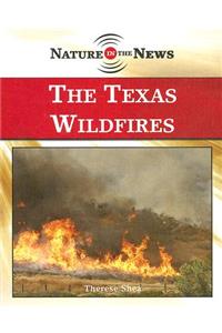 Texas Wildfires