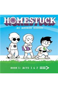Homestuck, Book 1