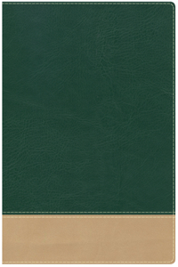 Teacher's Bible Green/Tan LeatherTouch