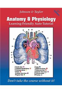 Anatomy & Physiology Learning-Friendly Auto-Tutorial
