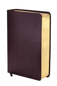 NIV Study Bible Burgundy Bonded Leather