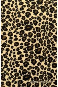 Carnet d'Adresses