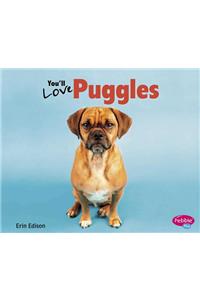 You'll Love Puggles