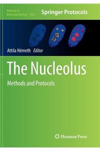 Nucleolus