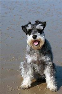 The Miniature Schnauzer Dog Journal: 150 Page Lined Notebook/Diary
