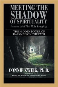 Meeting the Shadow of Spirituality