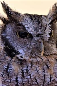 Tropical Screech Owl Journal