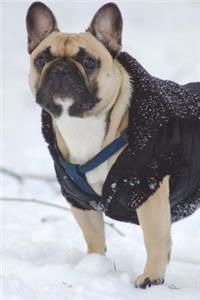 Bulldog in the Snow Journal