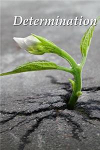 Determination: A Selection of Proverbs, Quotes, Sayings, and Expressions