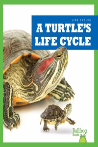 Turtle's Life Cycle