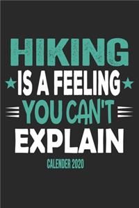 Hiking Is A Feeling You Can't Explain Calender 2020