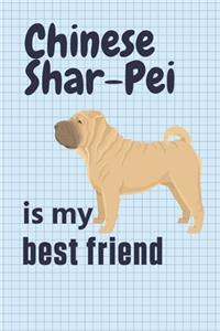 Chinese Shar-Pei is my best friend