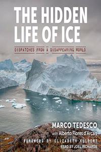 Hidden Life of Ice