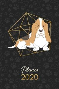 Planer 2020