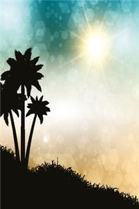 Palms in the sun