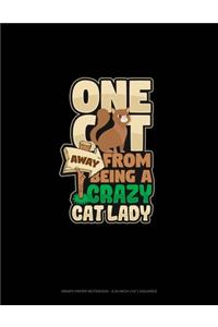 One Cat Away From Being A Crazy Cat Lady