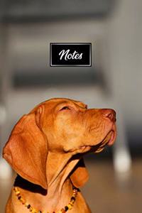 Vizsla Dog Pup Puppy Doggie Notebook Bullet Journal Diary Composition Book Notepad - Looking Into Sun