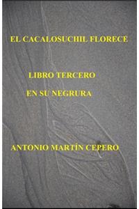 Cacalosuchil Florece. Libro Tercero