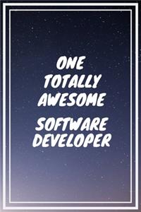 One Totally Awesome Software Developer