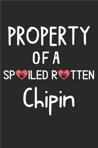 Property Of A Spoiled Rotten Chipin