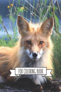 Fox Coloring Book