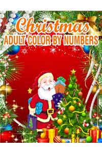 Christmas Adult Color By Numbers