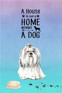 A House is Not a Home Without a Dog