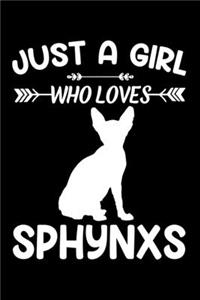 Just a girl who loves Sphynxs