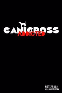 Canicross addicted