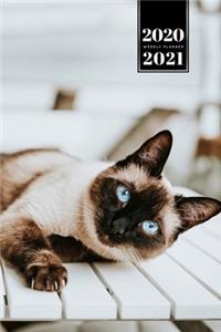 Siamese Cat Kitten Kitty Tomcat Week Planner Organizer 2020 / 2021 - Lie Around